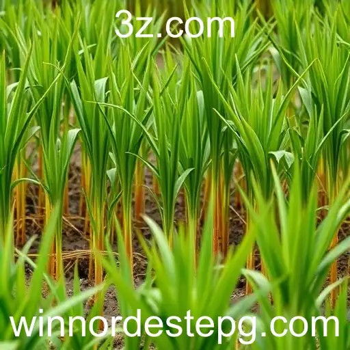 A Ascensão do nordestepg na Indústria de Jogos